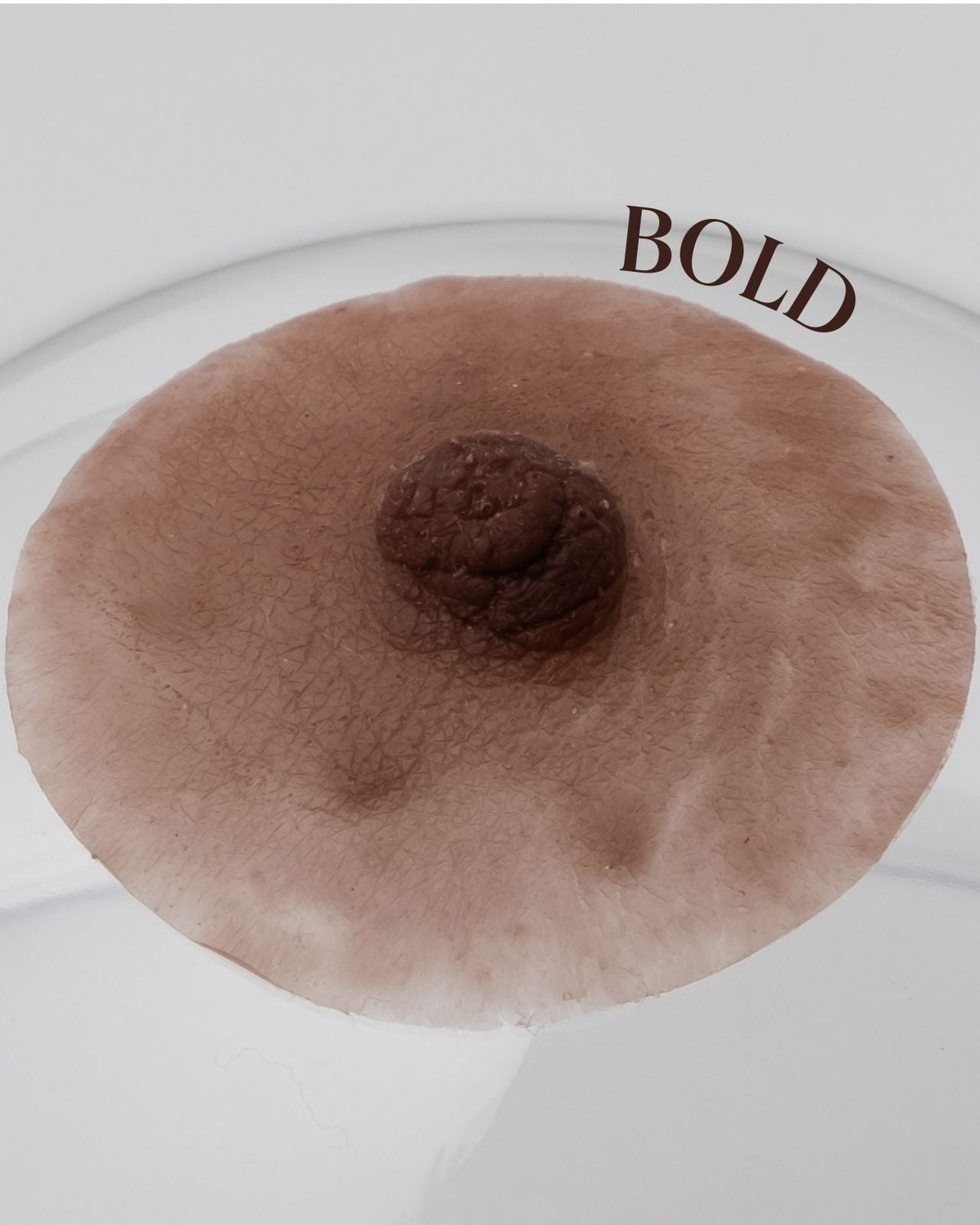 Pink Perfect Prosthetic Nipples in Chocolate