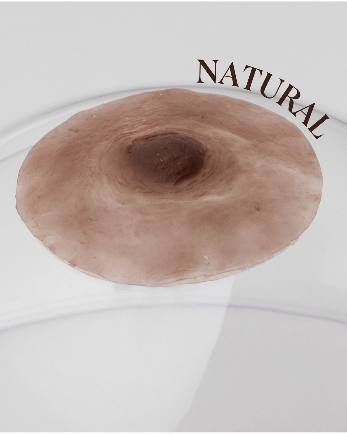 Pink Perfect Prosthetic Nipples in Chocolate