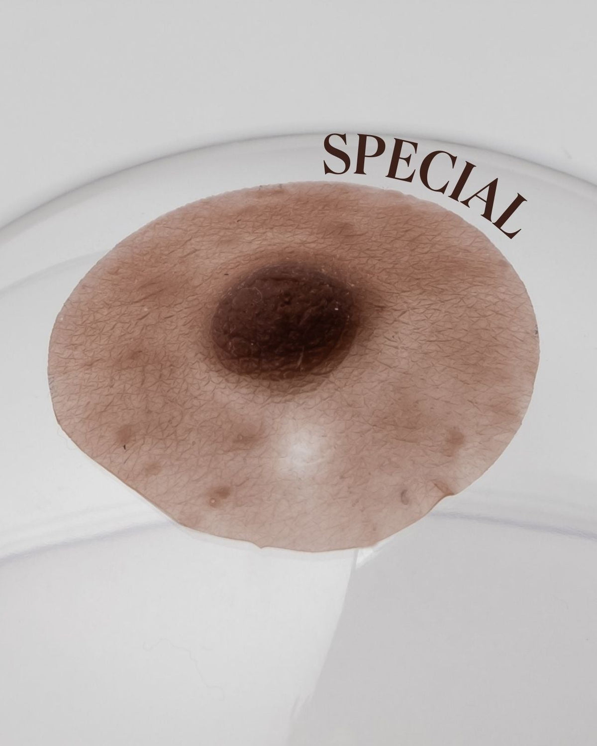 Pink Perfect Prosthetic Nipples in Chocolate